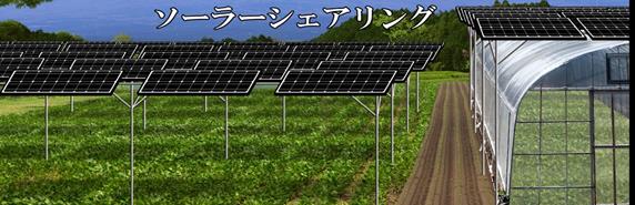 http://www.housejapan-yume.jp/solarsharing010.jpg