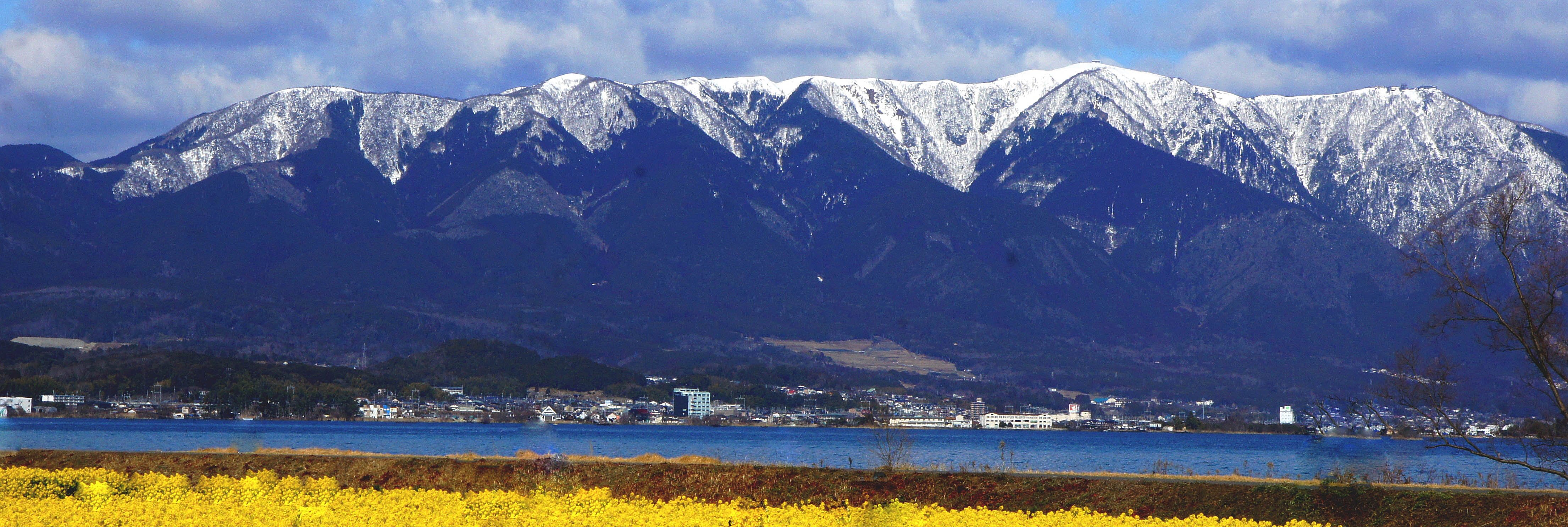 早春の四重奏　津市守山なぎさ公園　
